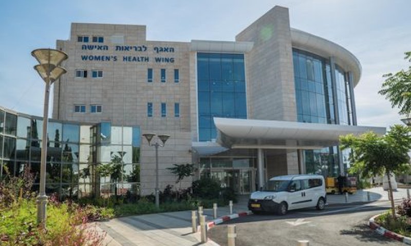 [צילום: ערן גילווארג]