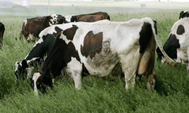 [צילום: AP]