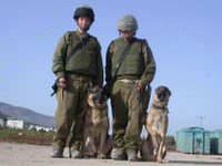 כלבניות של יחידת עוקץ