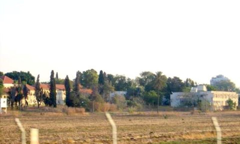 מקוה ישראל [צילום: עידן יוסף]