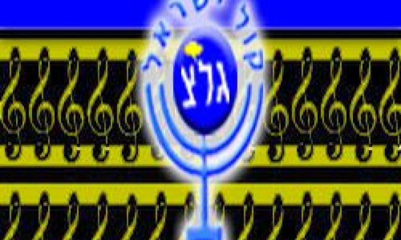 [צילום: באדיבות גלי צה"ל]
