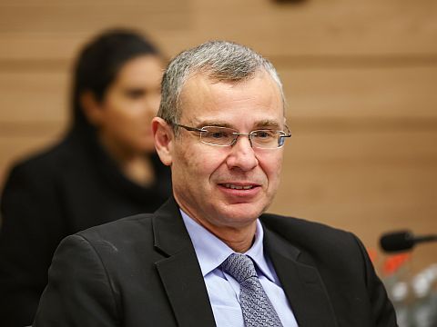 לוין בוועדה [צילום: יונתן זינדל/פלאש 90]