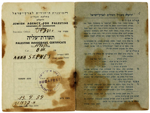 סרטיפיקט [צילום: ארכיון חנה סנש, הספרייה הלאומית]