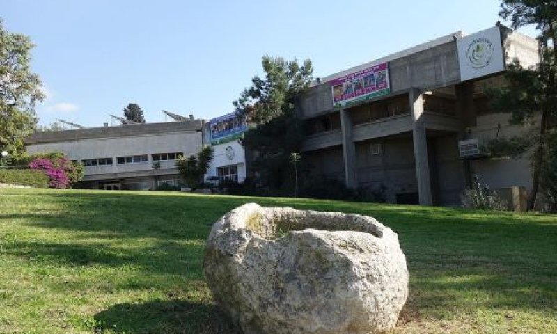 קיבוץ צרעה