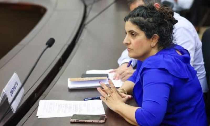 עו"ד אפיק. פגיעה ביעילות הדיונים [צילום: נועם מושקוביץ/דוברות הכנסת]