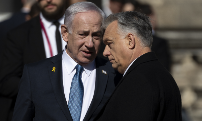 [צילום: דנס ארדוס/AP]