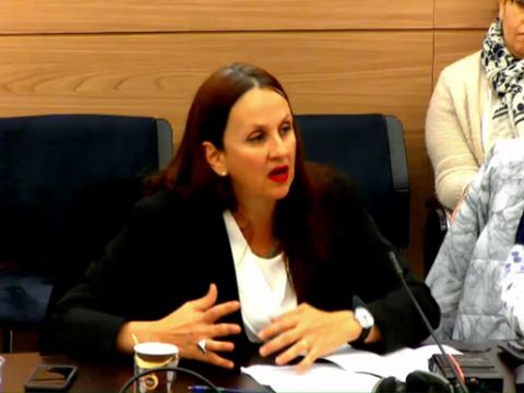 זילבר. חוות דעת רדיקלית