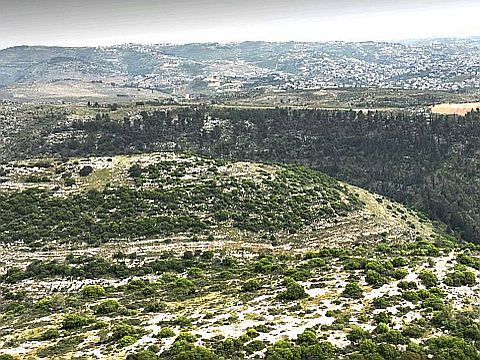גבעת קרב הל"ה בשפלת יהודה [צילום: איל מרקו, רשות העתיקות]