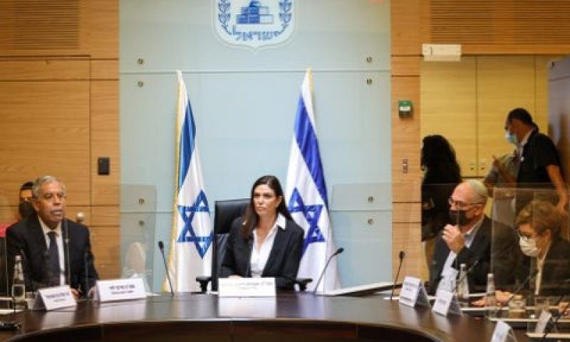 יו"ר הוועדה, ח"כ רייטן [צילום: נועם מושקוביץ, דוברות הכנסת]