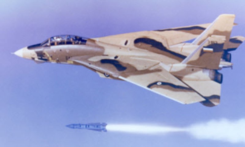F-14 [צילום: AP]