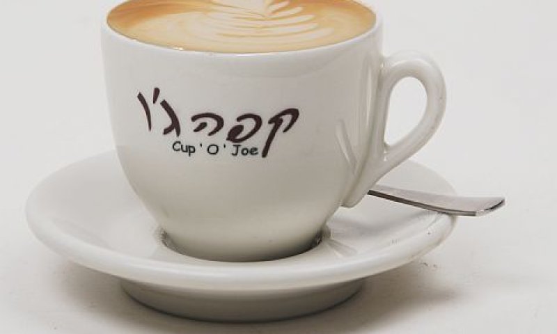 [צילום: יח"צ]