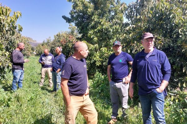 מנכ"ל אבוקדו גל אמיר בכר (מימין) בסיור מגדלי אבוקדו בחוות מטעים [החברה לפיתוח הגליל]