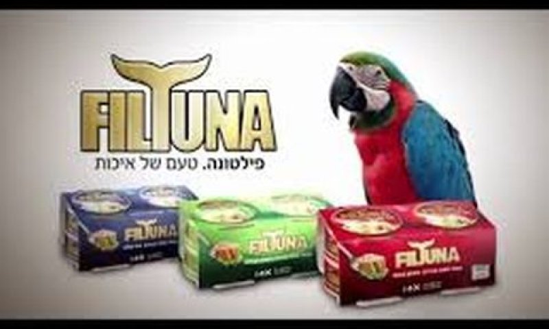 המכולות לא הגיעו