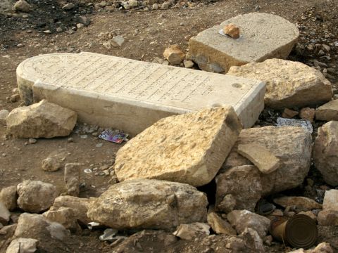 [צילום: אנה קפלן/פלאש 90]