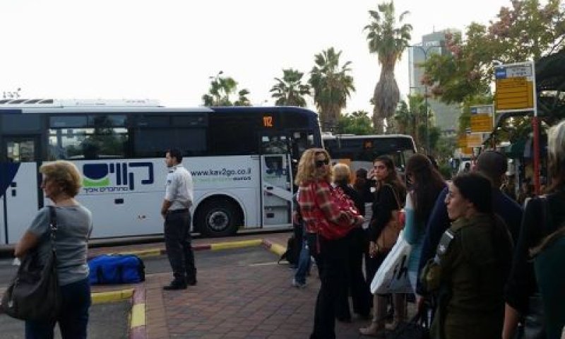 אוטובוסים מלוכלכים, נהגים בטלפון [צילום: מולי מנדלסון]
