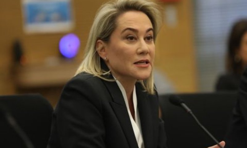 יו"ר עמל ומעבר מטעם קרן פימי, לילך אשר טופילסקי [צילום: נועם ריבקין פנטון, דוברות הכנסת]