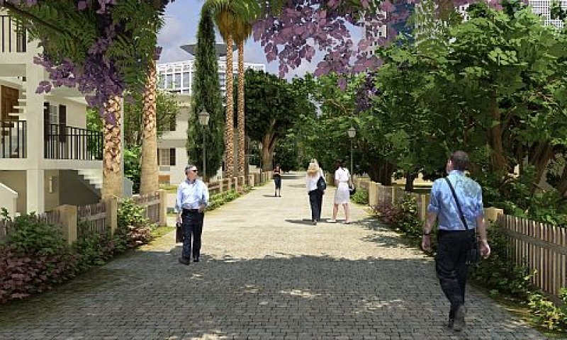 [צילום: הדמיה]