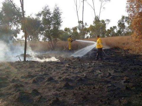 בלון תבערה הצית שריפה ביער בארי [צילום: דני בן דוד/קק"ל]