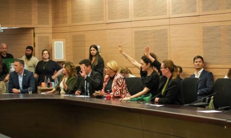 ההצבעה בוועדת הכנסת. פה אחד [צילום: דני שם-טוב/דוברות הכנסת]