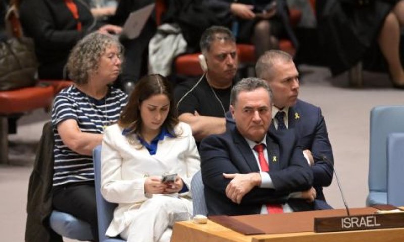 המשלחת הישראלית במועצת הביטחון [צילום: שלומי אמסלם/משרד החוץ]