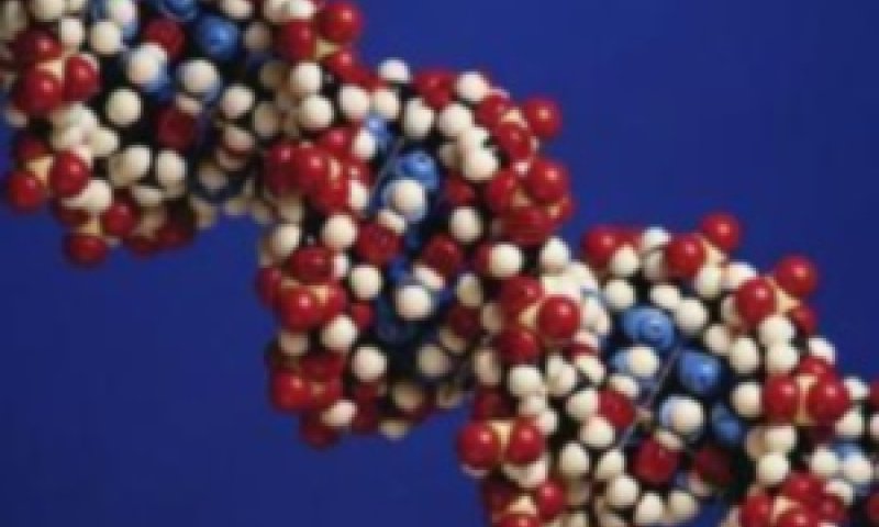 DNA