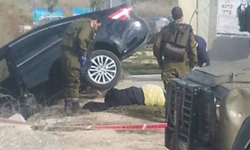 גופת המחבלת הדרוסה [צילום: הצלה יו"ש]