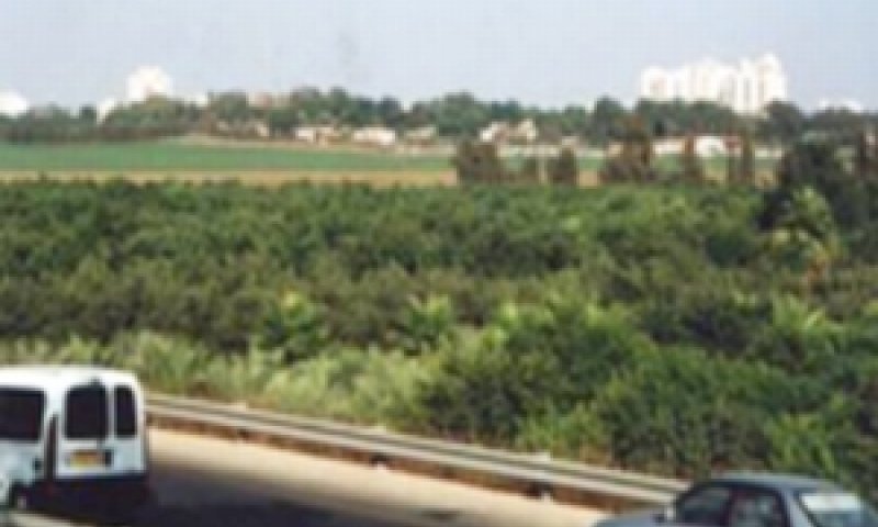 קיבוץ גליל ים [צילום: הוועדה המקומית לתכנון ובנייה בהרצליה]