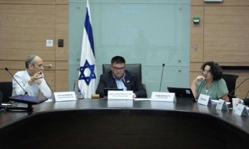 הדיון בוועדת הכלכלה. "אזעקת אמת" [צילום: דני שם-טוב, דוברות הכנסת]