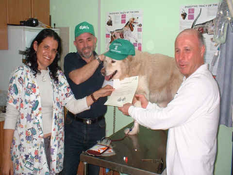 צביקה בלומנשטיק (מימין) מנהל מינהל ש.פ.ע וד"ר תיקה בראון שמעניקים תעודת הוקרה לכלב שתרם דם