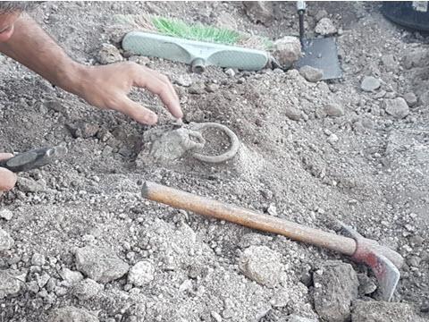 [צילום: יח"צ]