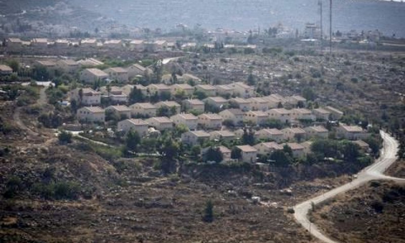 עפרה. הסדרה? [צילום: הדס פרוש, פלאש 90]