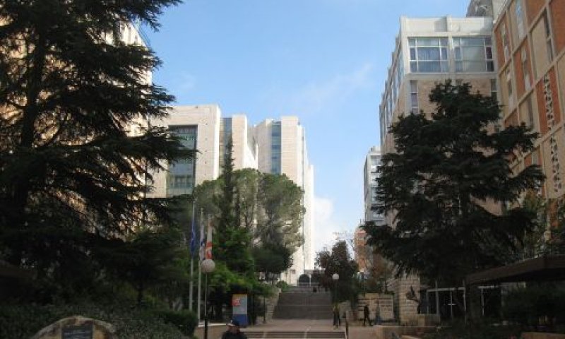 השקיעה 85 מיליון שקל