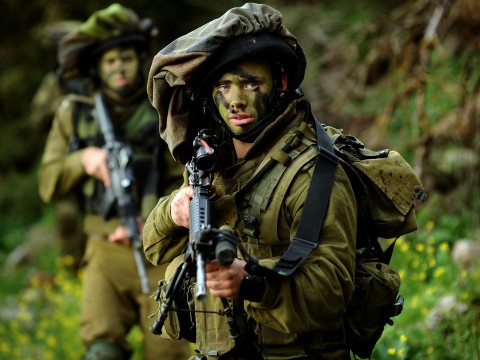 [צילום: דו"צ]