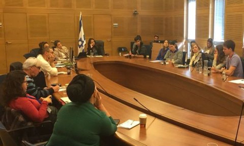 הדיון בוועדה לזכויות הילד [צילום: דוברות הכנסת]