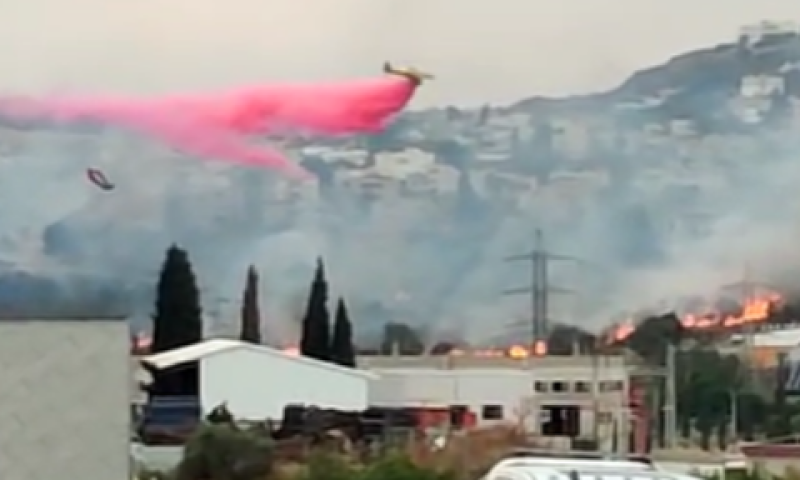 [צילום: אופיר ליבוביץ, דוברות כיבוי והצלה]