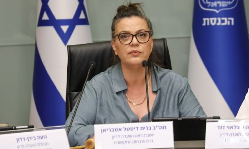 דיסטל. "הוועדה פועלת בניגוד לעקרונות יסוד" [צילום: דני שם טוב/דוברות הכנסת]