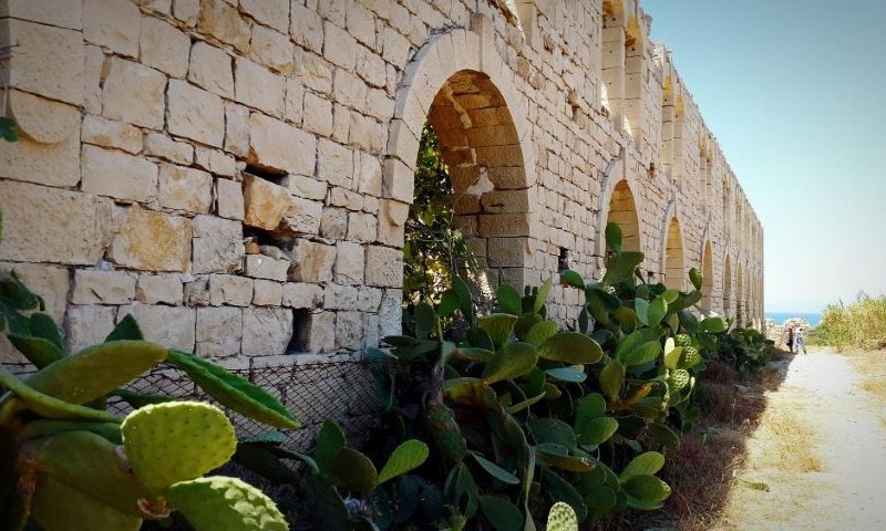 [צילום: FREEPIK]