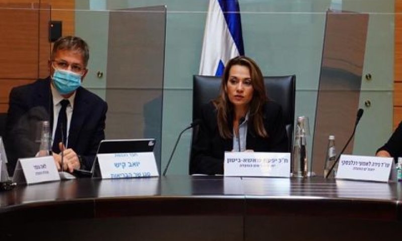 ח"כ שאשא-ביטון בדיון בוועדה [צילום: עדינה ולמן, דוברות הכנסת]