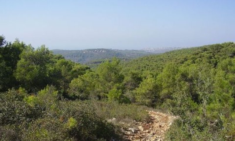 הר שוקף. עסקאות חריגות