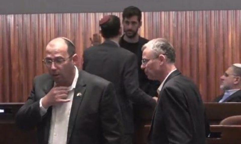 רוטמן. חותמת מהוועדה בראשות לוין [צילום: ערוץ כנסת]