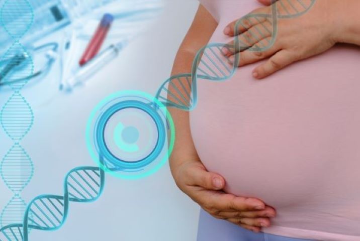 [צילום: Shutterstock]