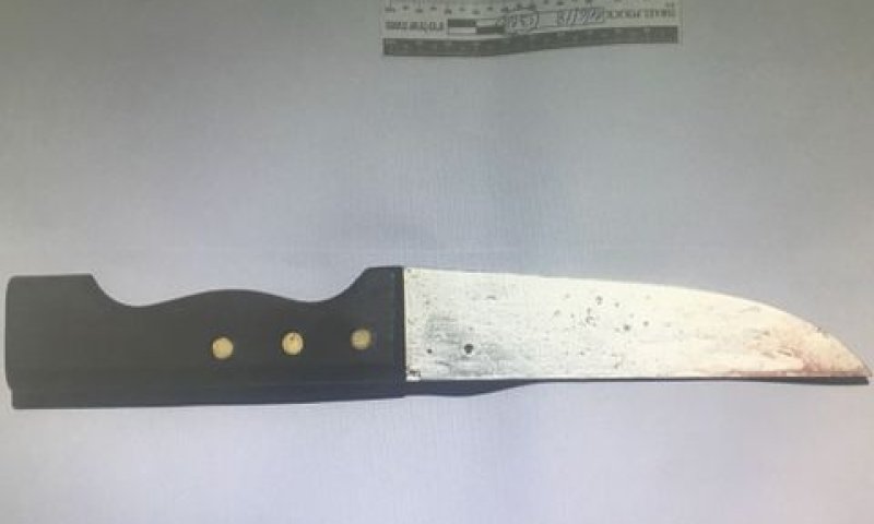 "לבער מן היסוד" [צילום אילוסטרציה: דוברות המשטרה]