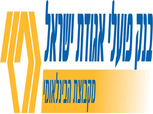 תשואה של 11 אחוז על ההון