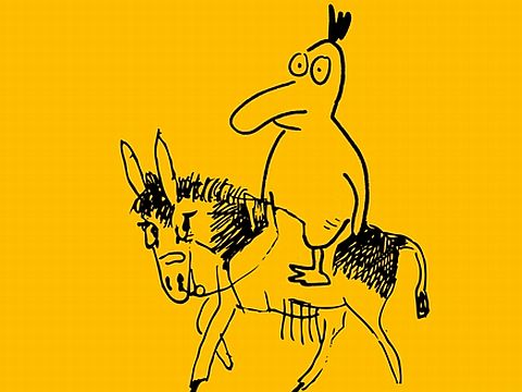 במקום השני - ברווז על חמור [צילום: יח"צ]