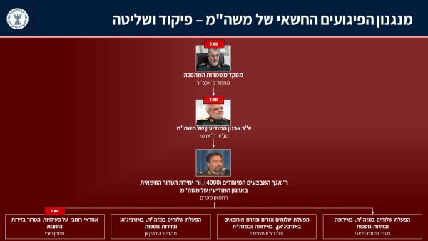 מבנה הארגון. חלק מאנשיו חוסלו [צילום: שב"כ]