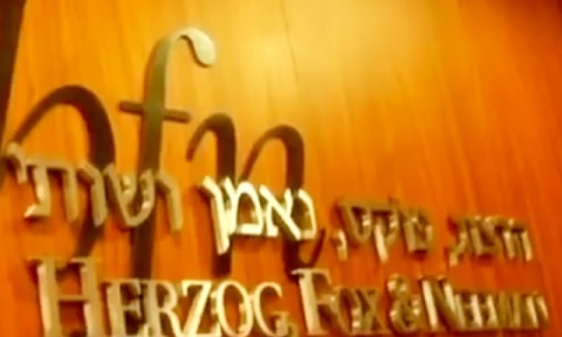 339 עורכי דין