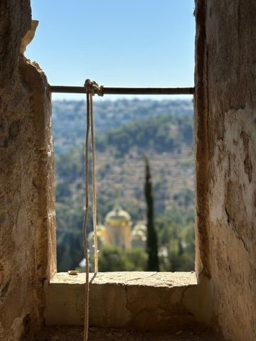 [צילום: שרון דינור]