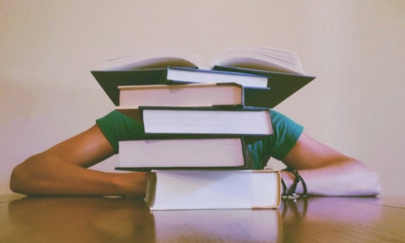 [צילום: pexels]