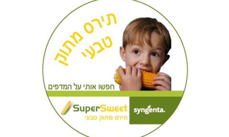 תירס מתוק של זרעים גדרה [צילום: יח"צ]