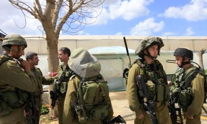 [צילום: AP]